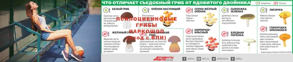 прущая мука Беломорск