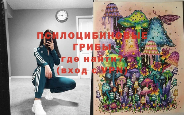 тгк Балахна