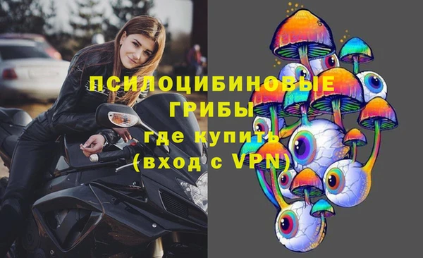 ГАЛЛЮЦИНОГЕННЫЕ ГРИБЫ Белокуриха