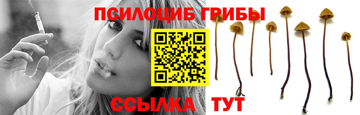 Улан-Удэ  Галлюциногенные грибы Magic Shrooms  Вход с VPN 